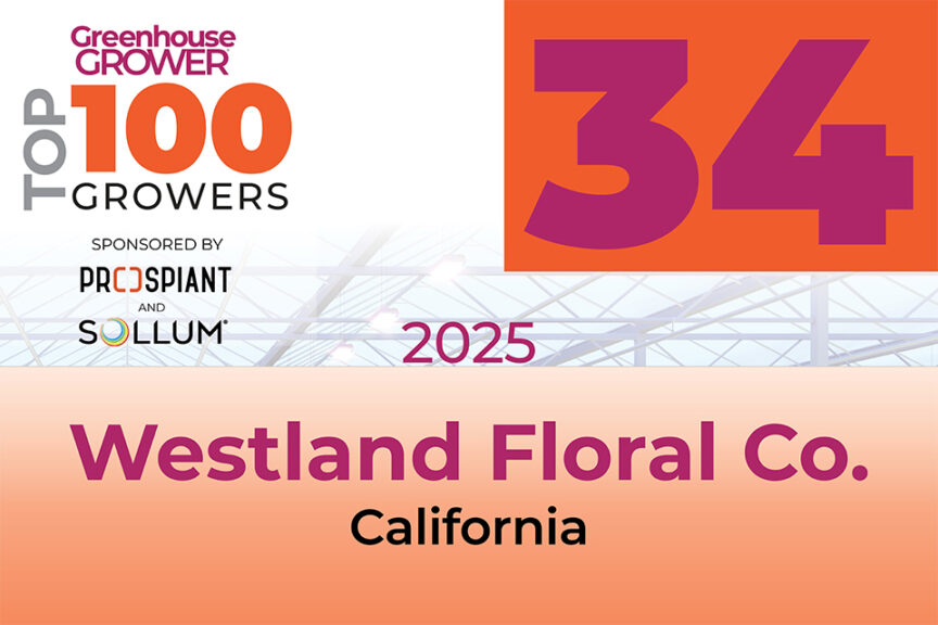 #34: Westland Floral Co.