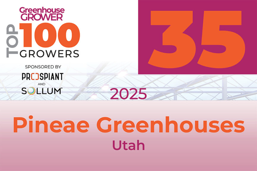 #35: Pineae Greenhouses