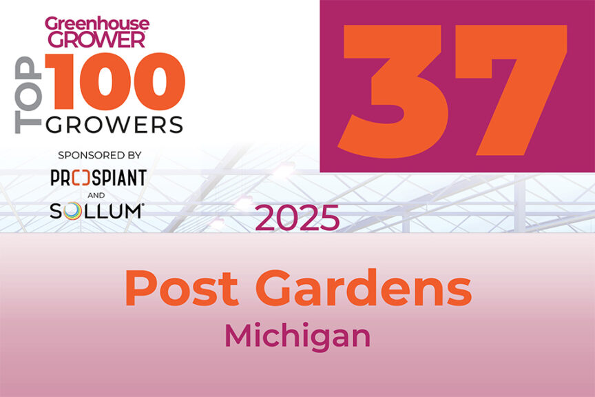 #37: Post Gardens