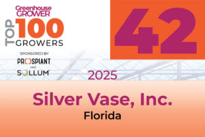 #42: Silver Vase Inc.