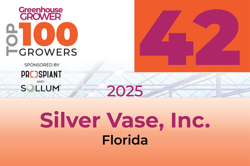 #42: Silver Vase Inc.
