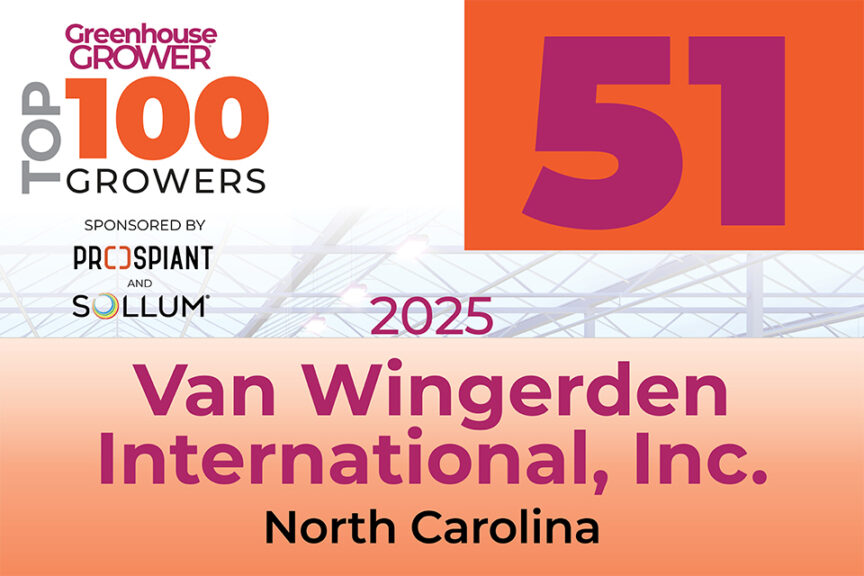 #51: Van Wingerden International, Inc.