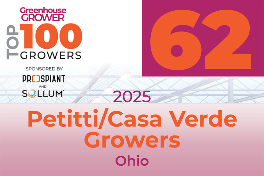 #62: Petitti/Casa Verde Growers