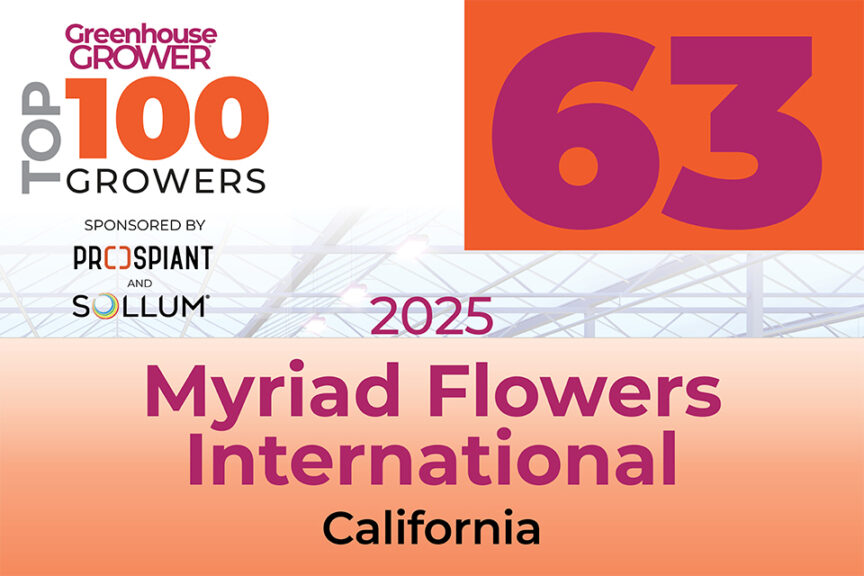 #63: Myriad Flowers International