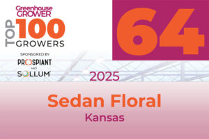 #64: Sedan Floral