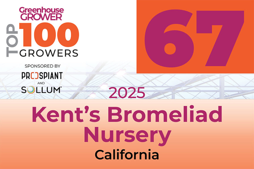 #67: Kent's Bromeliad Nursery