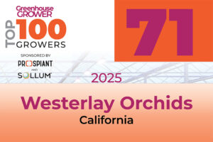 #71: Westerlay Orchids