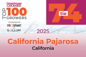 #74t: California Pajarosa