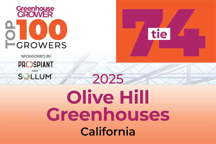 #74t: Olive Hill Greenhouses