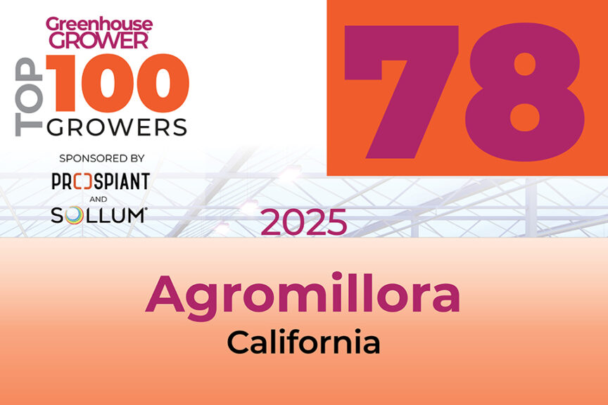 #78: Agromillora