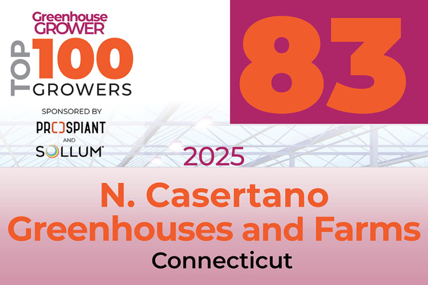 # 83: N. Casertano Greenhouses and Farms