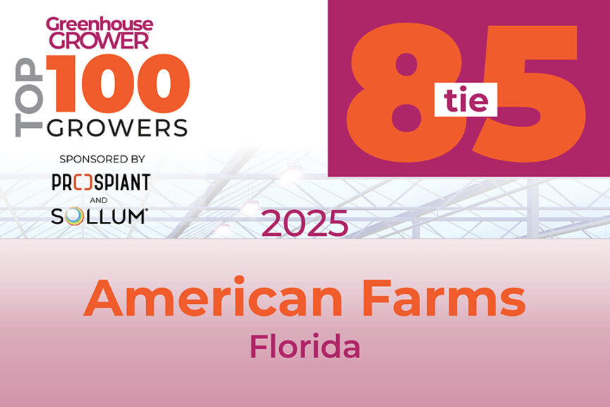 #85t: American Farms