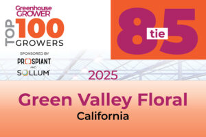 #85t: Green Valley Floral