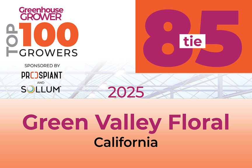 #85t: Green Valley Floral