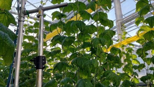 Video of the Week: The AGROS II Autonomous Greenhouse Project