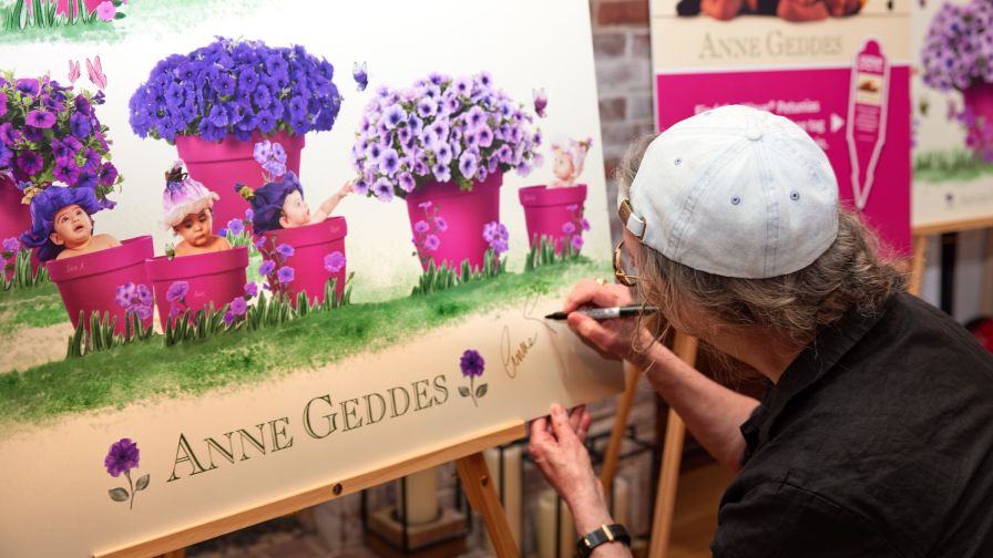 Anne Geddes signing a Wave Petunias print for the collaboration.