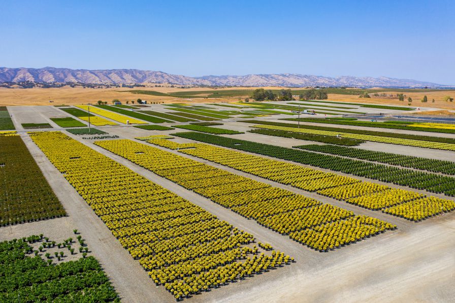 Everde Growers Winters Farm