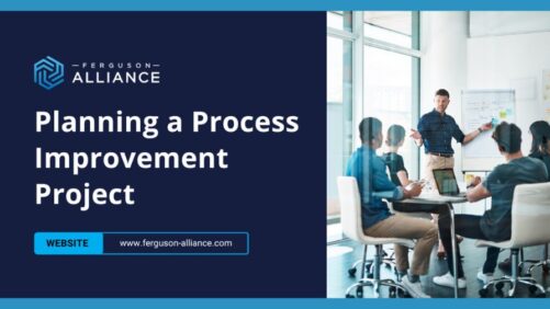 How To Build a Process Improvement Plan for Your Greenhouse Business That Works