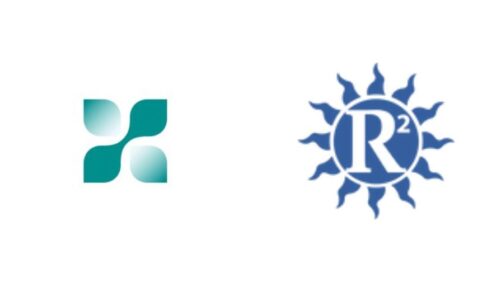 HilverdaFlorist Partners with Raker-Roberta’s for Dianthus Distribution