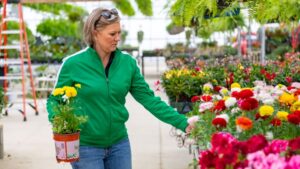 How To Keep Summer Visitors to Your Greenhouse or Garden Center Safe