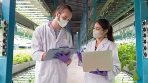 CEA Technology Adoption Trends in the Vertical Farming Sector