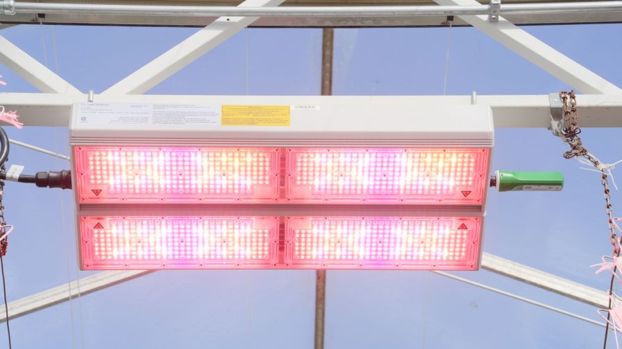 ParFX Ultra with MeshIQ Dongle, an example of dynamically tunable LED lighting.