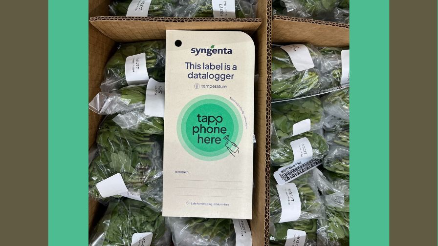 A Syngenta Flowers paper data logger from Tapp.