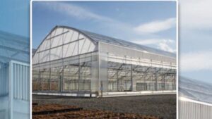 Arch Series 6500