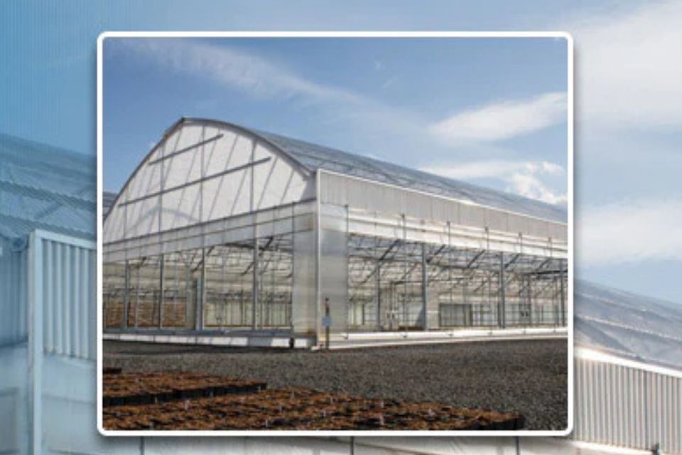 Arch Series 6500