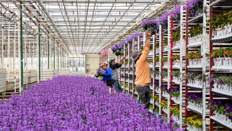 The U.S. live goods market has grown 1% per year in the last 3 years, showing no give back since the pandemic.