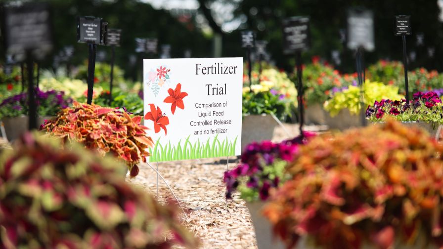 This year Mast Young Plants will be expanding the slow-release fertilizer trials it started last year.