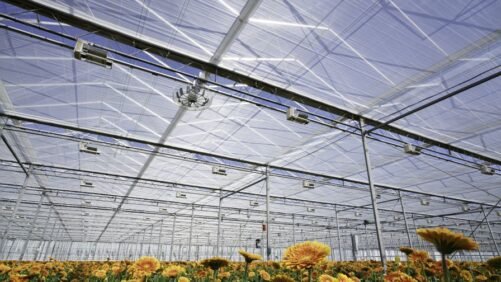Presenting Greenhouse Grower’s 2025 Technology of the Year Finalists