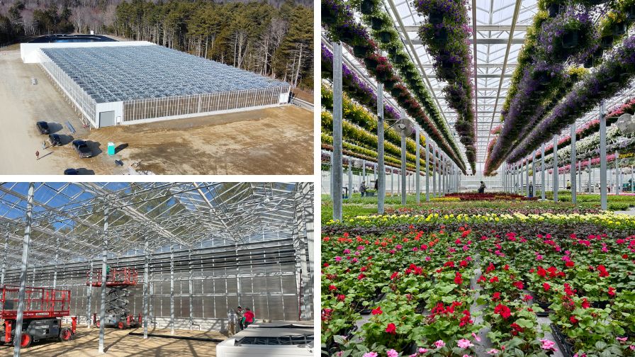 Preparation, construction, and crops of the new greenhouse expansion in Pownal, ME.