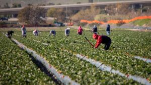Bloom Without Burnout: A Practical Guide to the H-2A Visa Program