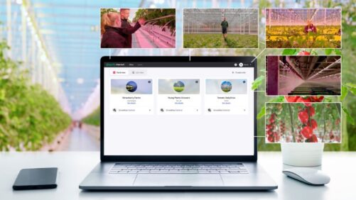Signify Launches New and Updated Philips GrowWise Control