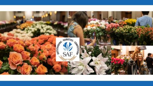 Growers Invited to Participate in the 2025 Outstanding Varieties Competition