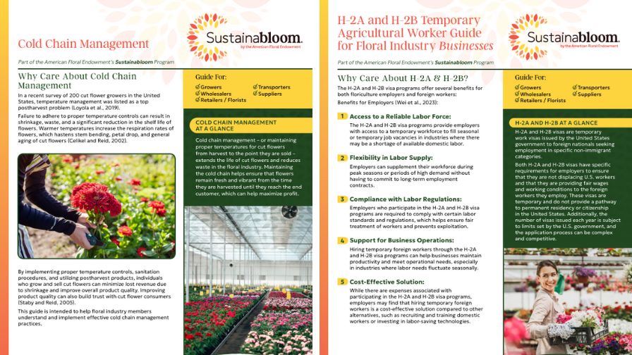 The first pages of the Cold Chain Management (L) and H-2A and H-2B Work Visas (R) guides from Sustainabloom.