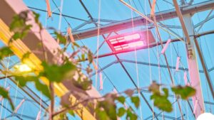GreenPower LED Toplighting Force