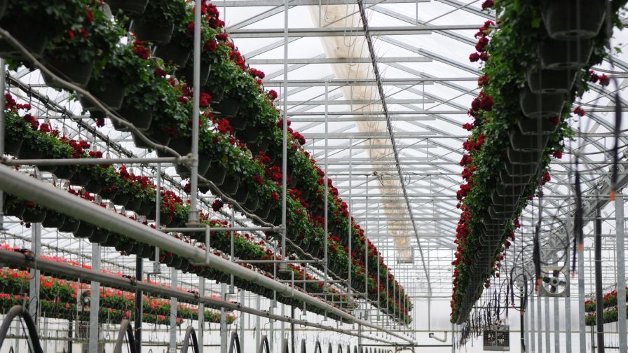 Tech Trends Part 4 GGS Bailey Nurseries