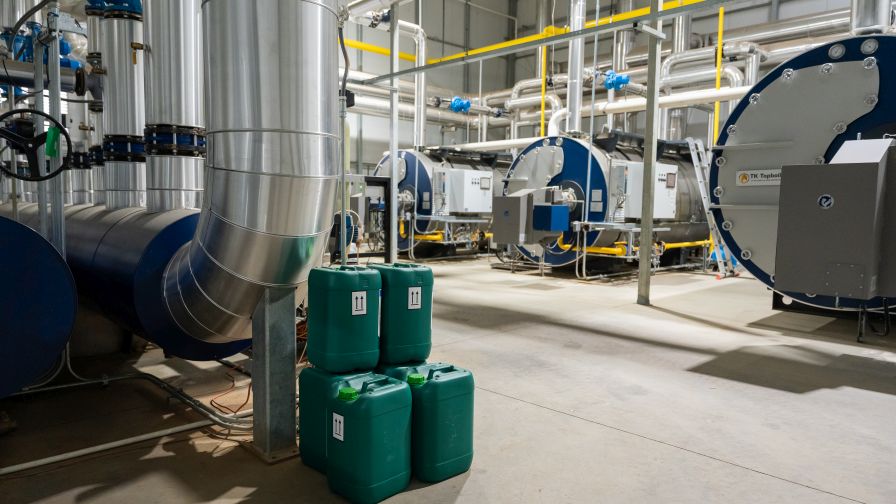 The Plant Company’s high-efficiency boiler system provides both heat and CO₂, supporting consistent growth while minimizing energy waste.