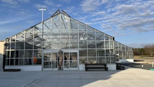 Greenhouse Tech Suppliers Helping Growers Navigate Pain Points