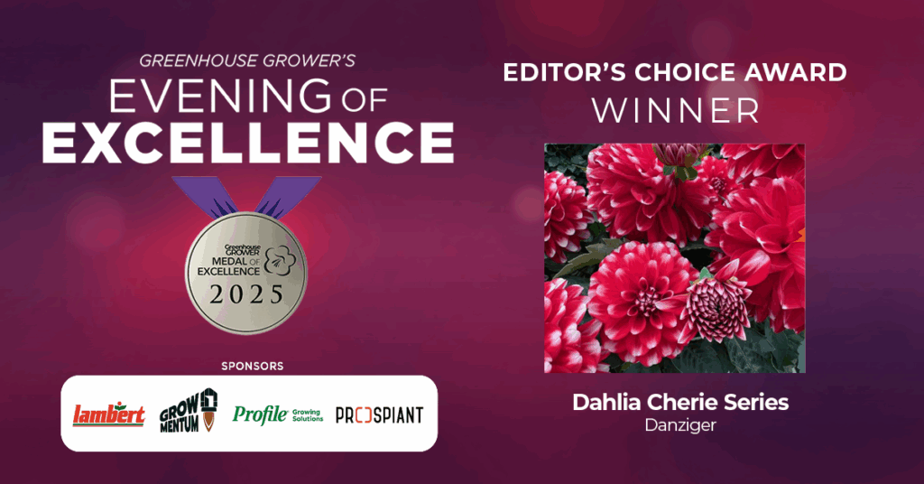 Editor’s Choice Award: Dahlia Cherie series (Danziger)