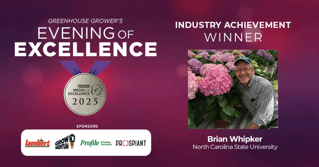 Industry Achievement Award: Brian Whipker, North Carolina State University