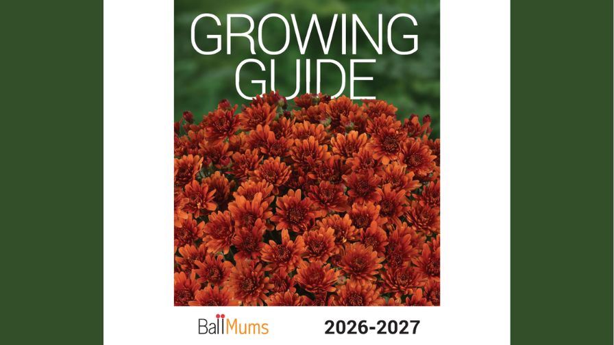 2026-2027 Mums Growing Guide cover from Ball Seed.