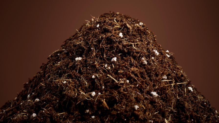 Peat’s fluctuating prices explain why price-conscious growers are becoming more interested in alternative media, says Pierre-Marc De Champlain, Project Coordinator at Berger Peat Moss Ltd. Pictured here is a mix of peat, wood fiber, and perlite.