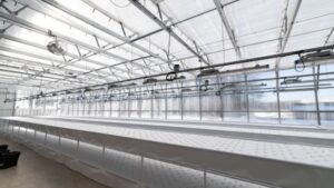 Does Your Greenhouse Need a Retrofit or Rebuild?