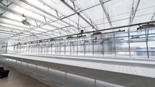Does Your Greenhouse Need a Retrofit or Rebuild?