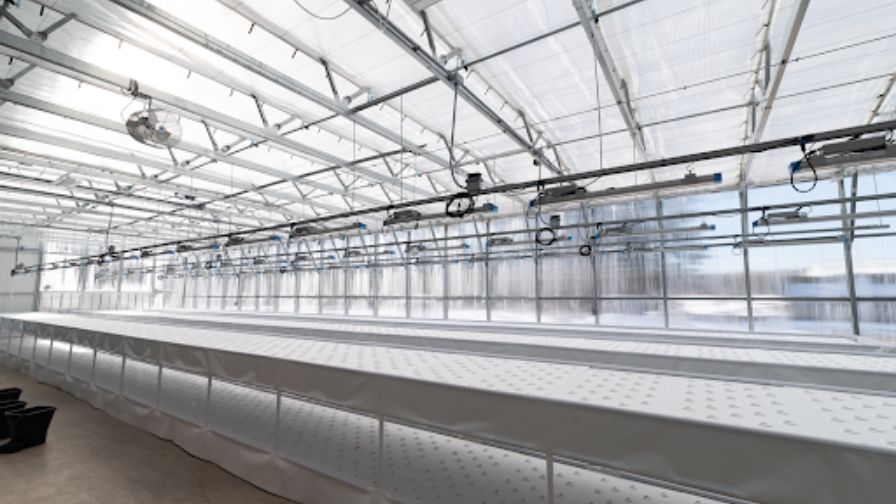 The headhouse is often overlooked during the greenhouse building process.