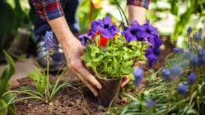 How Sustainability Will Take Center Stage in Spring 2026