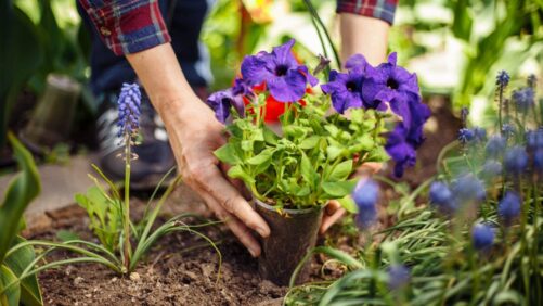 How Sustainability Will Take Center Stage in Spring 2026